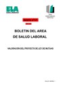 Boletín de Salud Laboral. 17