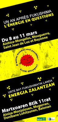 Dudas sobre la energía, un año después de Fukushima