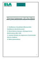 Ingurumen buletina 6 