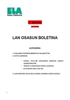 Lan osasuna 4. buletina 